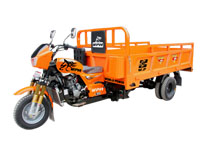 Trimoto Cargo wpm